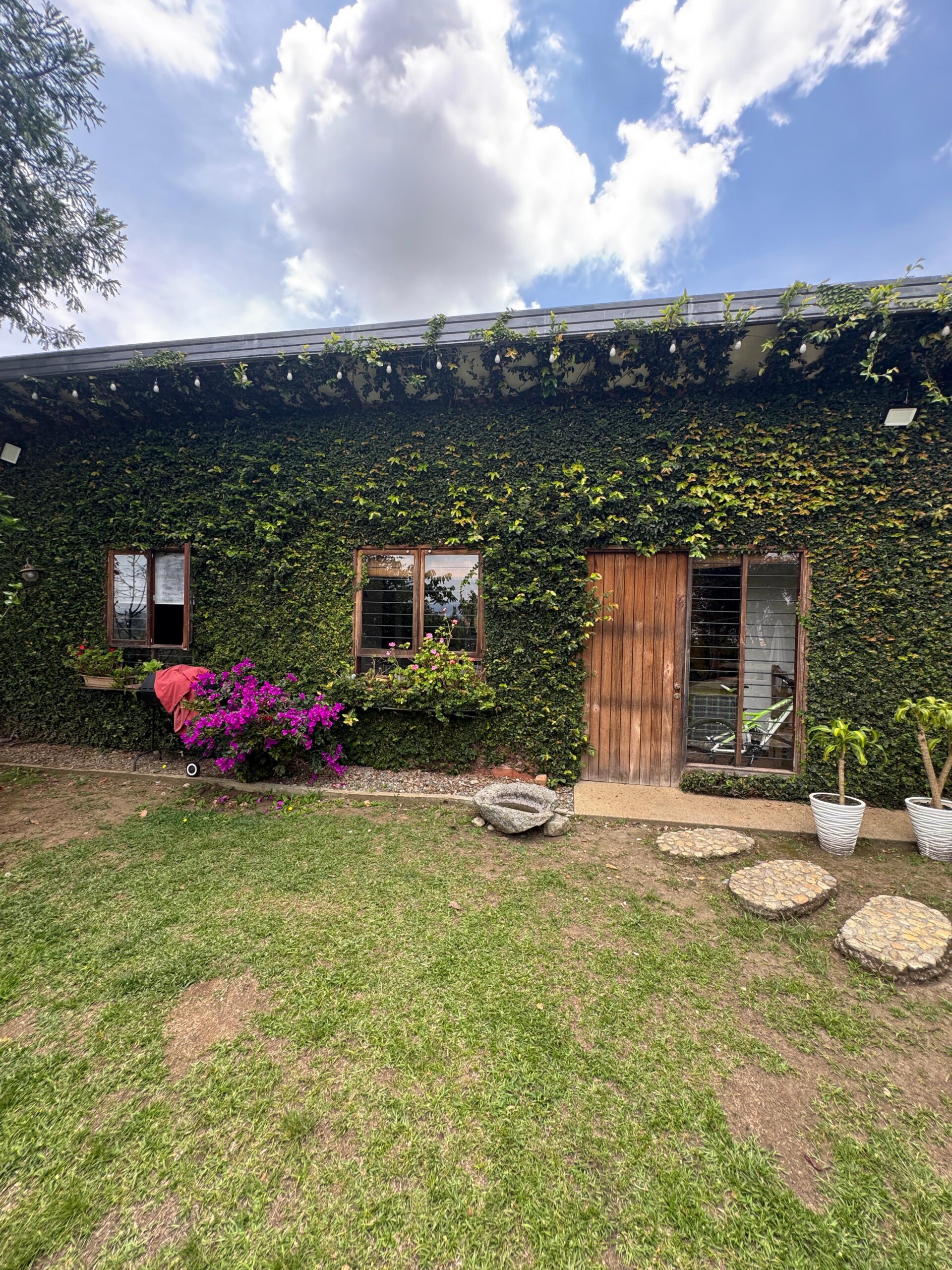 Casa de los Muros Silvestres