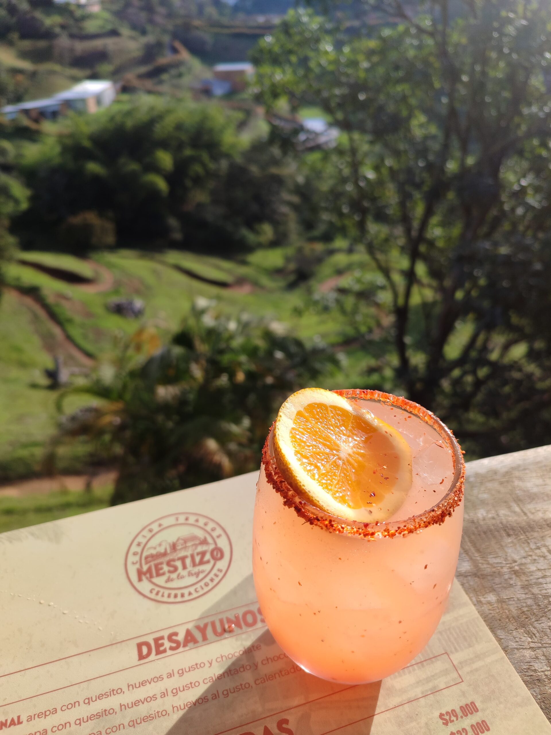 Gastronomic & Cultural Experience