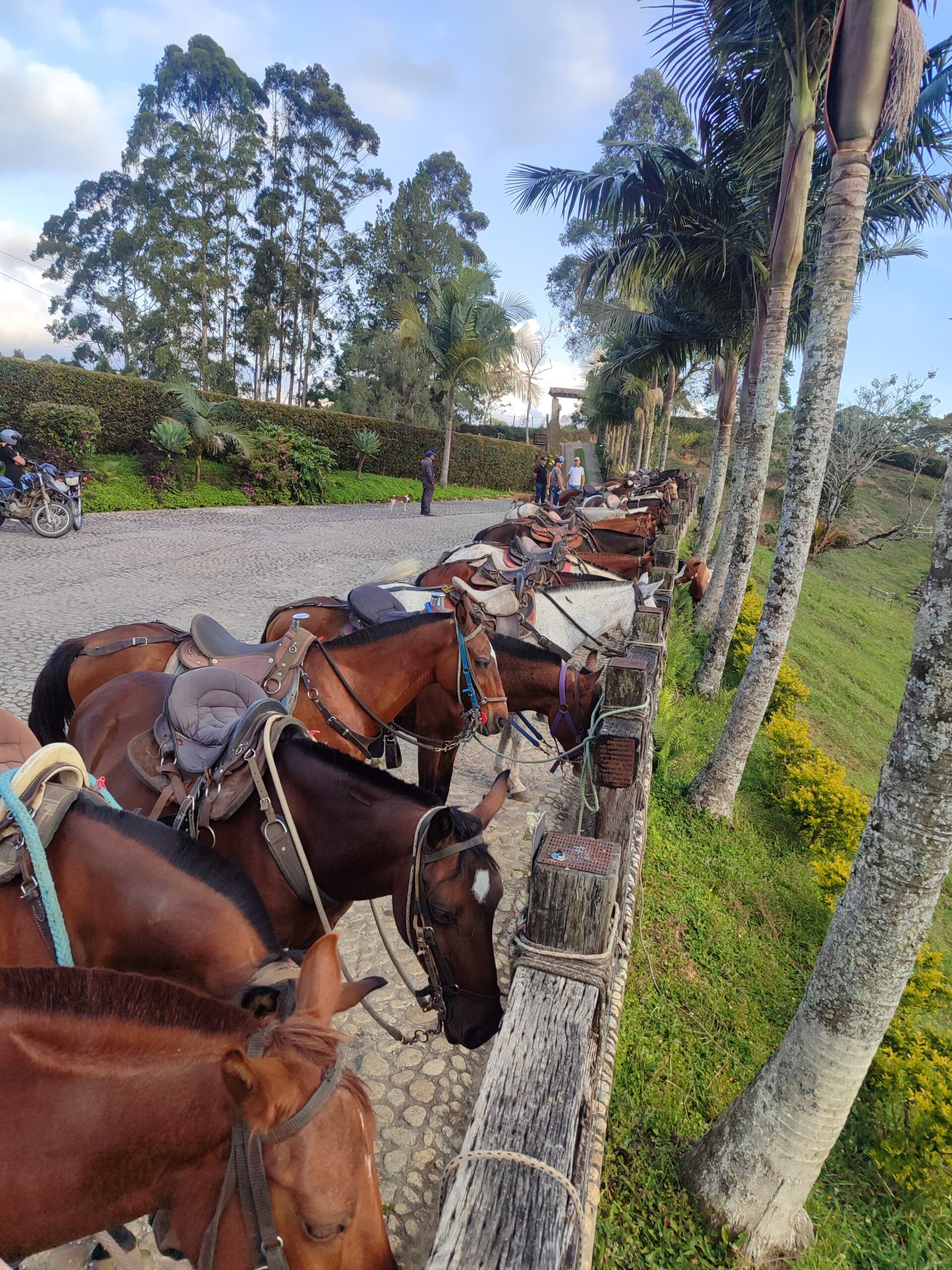 Adventure and Tradition